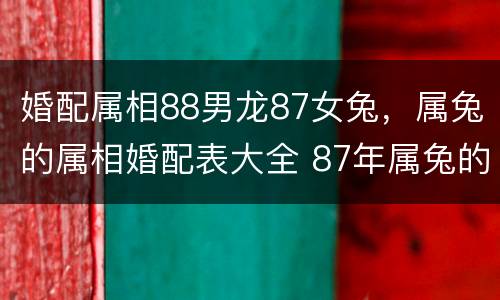 婚配属相88男龙87女兔，属兔的属相婚配表大全 87年属兔的