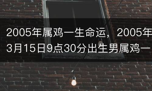 2005年属鸡一生命运，2005年3月15日9点30分出生男属鸡一生命