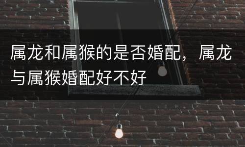 属龙和属猴的是否婚配，属龙与属猴婚配好不好