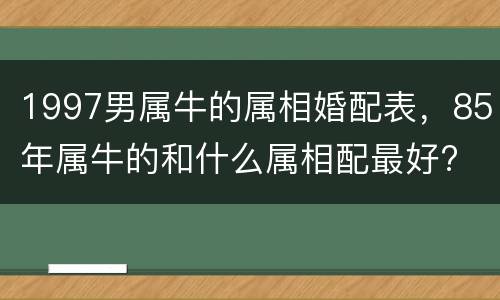 1997男属牛的属相婚配表，85年属牛的和什么属相配最好?