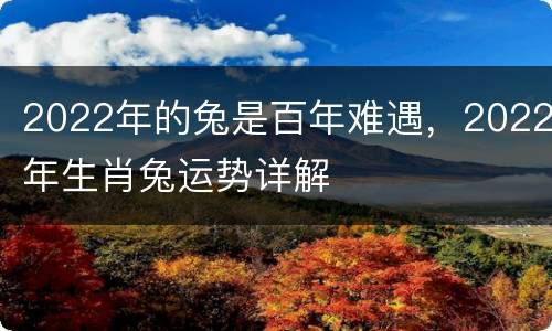 2022年的兔是百年难遇，2022年生肖兔运势详解