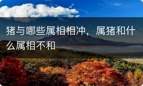猪与哪些属相相冲，属猪和什么属相不和