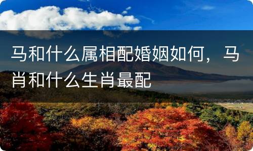 马和什么属相配婚姻如何，马肖和什么生肖最配