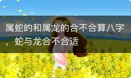 属蛇的和属龙的合不合算八字，蛇与龙合不合适