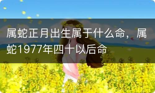 属蛇正月出生属于什么命，属蛇1977年四十以后命