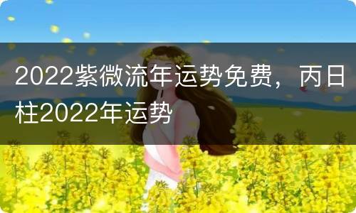 2022紫微流年运势免费，丙日柱2022年运势