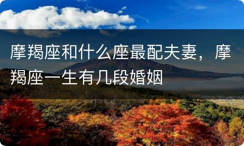 摩羯座和什么座最配夫妻，摩羯座一生有几段婚姻
