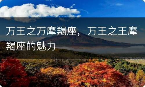 万王之万摩羯座，万王之王摩羯座的魅力