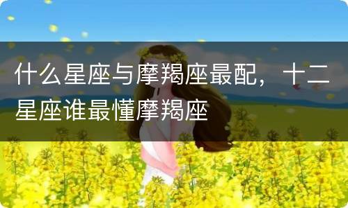 什么星座与摩羯座最配，十二星座谁最懂摩羯座