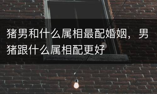 猪男和什么属相最配婚姻，男猪跟什么属相配更好