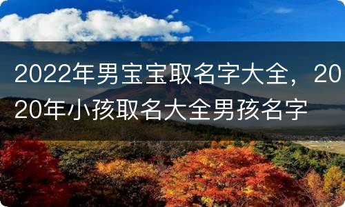 2022年男宝宝取名字大全，2020年小孩取名大全男孩名字