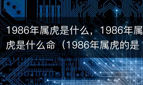 1986年属虎是什么，1986年属虎是什么命（1986年属虎的是啥命）