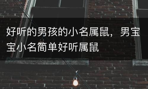 好听的男孩的小名属鼠，男宝宝小名简单好听属鼠