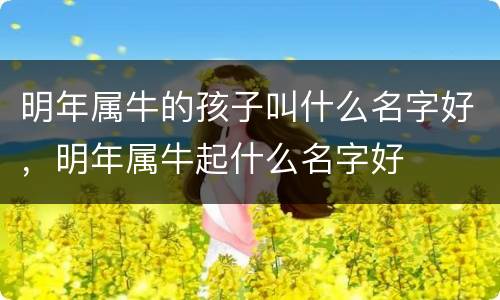 明年属牛的孩子叫什么名字好，明年属牛起什么名字好