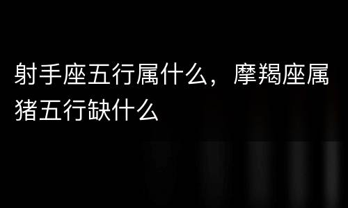 射手座五行属什么，摩羯座属猪五行缺什么