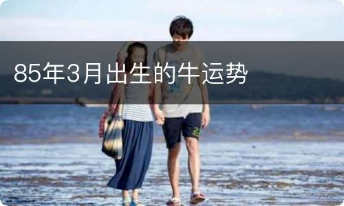85年3月出生的牛运势