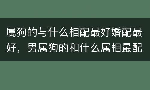 属狗的与什么相配最好婚配最好,男属狗的和什么属相最配