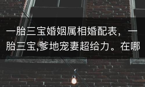 一胎三宝婚姻属相婚配表，一胎三宝,爹地宠妻超给力。在哪里免费看?