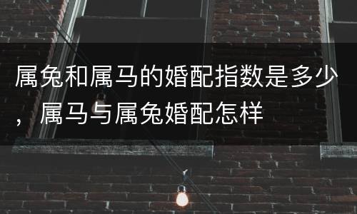 属兔和属马的婚配指数是多少，属马与属兔婚配怎样