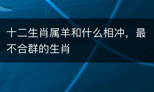 十二生肖属羊和什么相冲，最不合群的生肖
