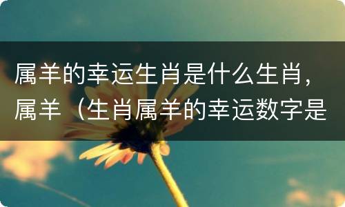属羊的幸运生肖是什么生肖，属羊（生肖属羊的幸运数字是多少）