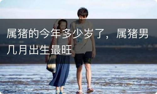 属猪的今年多少岁了，属猪男几月出生最旺