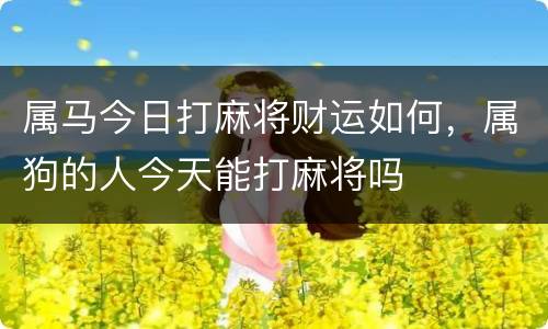 属马今日打麻将财运如何，属狗的人今天能打麻将吗