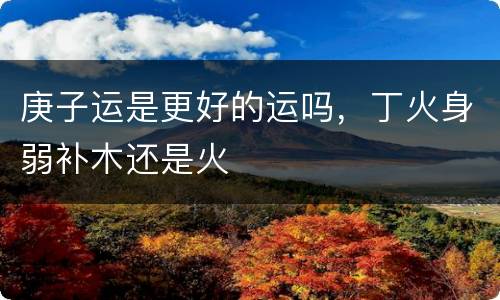 庚子运是更好的运吗，丁火身弱补木还是火