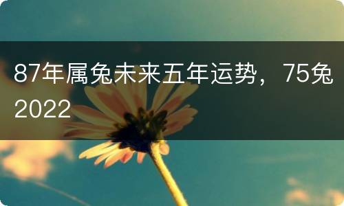 87年属兔未来五年运势，75兔2022