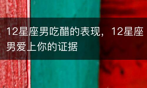 12星座男吃醋的表现，12星座男爱上你的证据