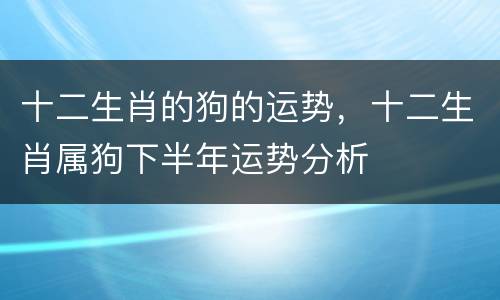 十二生肖的狗的运势，十二生肖属狗下半年运势分析