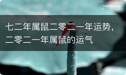七二年属鼠二零二一年运势，二零二一年属鼠的运气