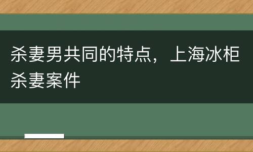 杀妻男共同的特点，上海冰柜杀妻案件