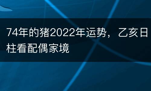 74年的猪2022年运势，乙亥日柱看配偶家境