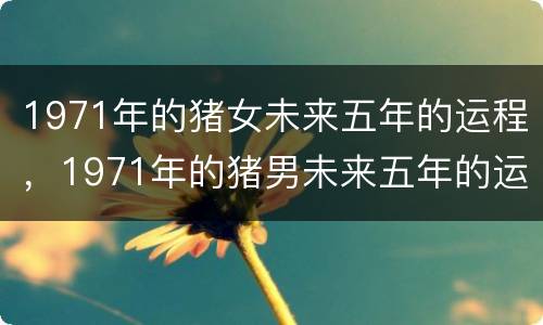 1971年的猪女未来五年的运程，1971年的猪男未来五年的运程