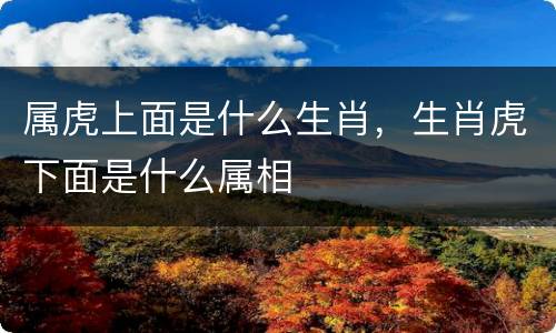 属虎上面是什么生肖，生肖虎下面是什么属相