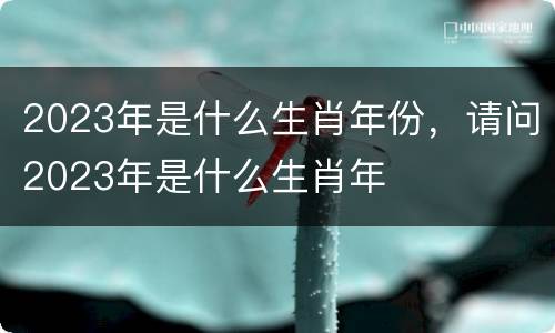 2023年是什么生肖年份，请问2023年是什么生肖年