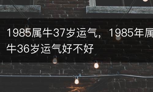 1985属牛37岁运气，1985年属牛36岁运气好不好