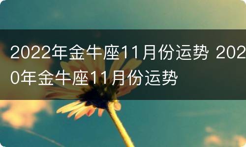 2022年金牛座11月份运势 2020年金牛座11月份运势