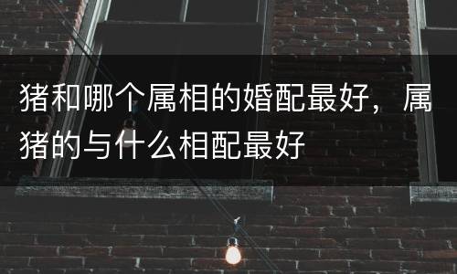 猪和哪个属相的婚配最好，属猪的与什么相配最好