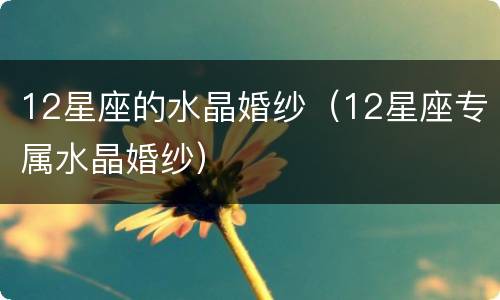 12星座的水晶婚纱（12星座专属水晶婚纱）