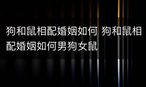 狗和鼠相配婚姻如何 狗和鼠相配婚姻如何男狗女鼠