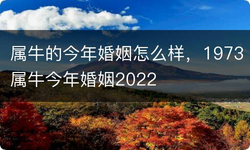 属牛的今年婚姻怎么样，1973属牛今年婚姻2022