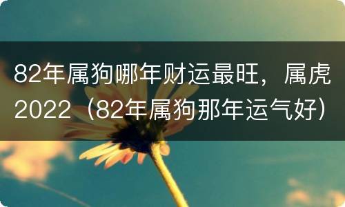 82年属狗哪年财运最旺，属虎2022（82年属狗那年运气好）