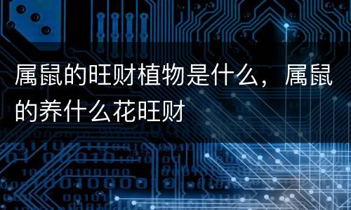 属鼠的旺财植物是什么，属鼠的养什么花旺财