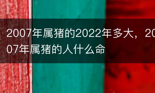 2007年属猪的2022年多大，2007年属猪的人什么命