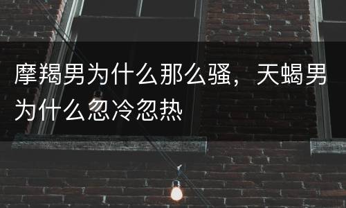 摩羯男为什么那么骚，天蝎男为什么忽冷忽热