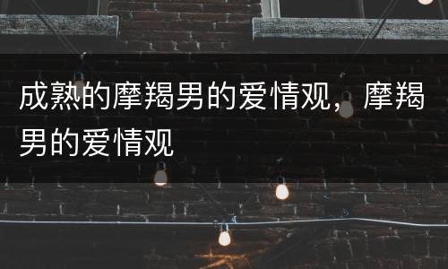 成熟的摩羯男的爱情观，摩羯男的爱情观