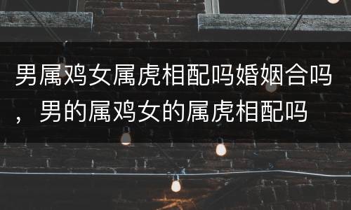 男属鸡女属虎相配吗婚姻合吗，男的属鸡女的属虎相配吗