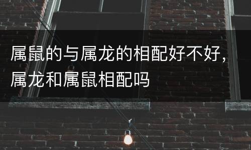 属鼠的与属龙的相配好不好，属龙和属鼠相配吗